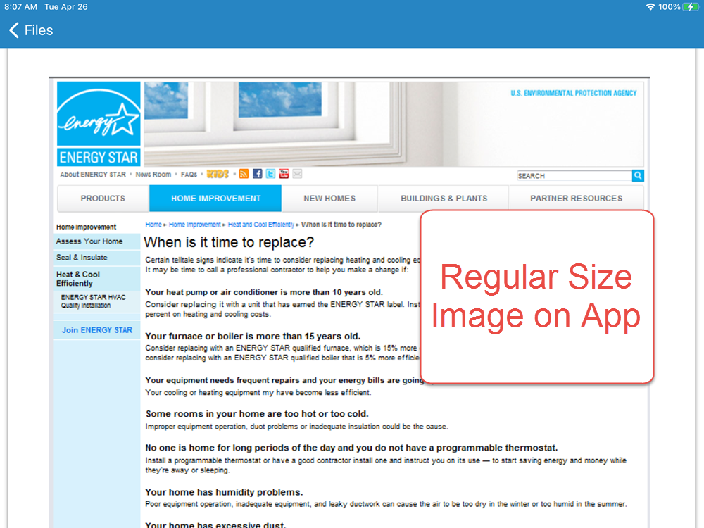 Regular Size Image on App