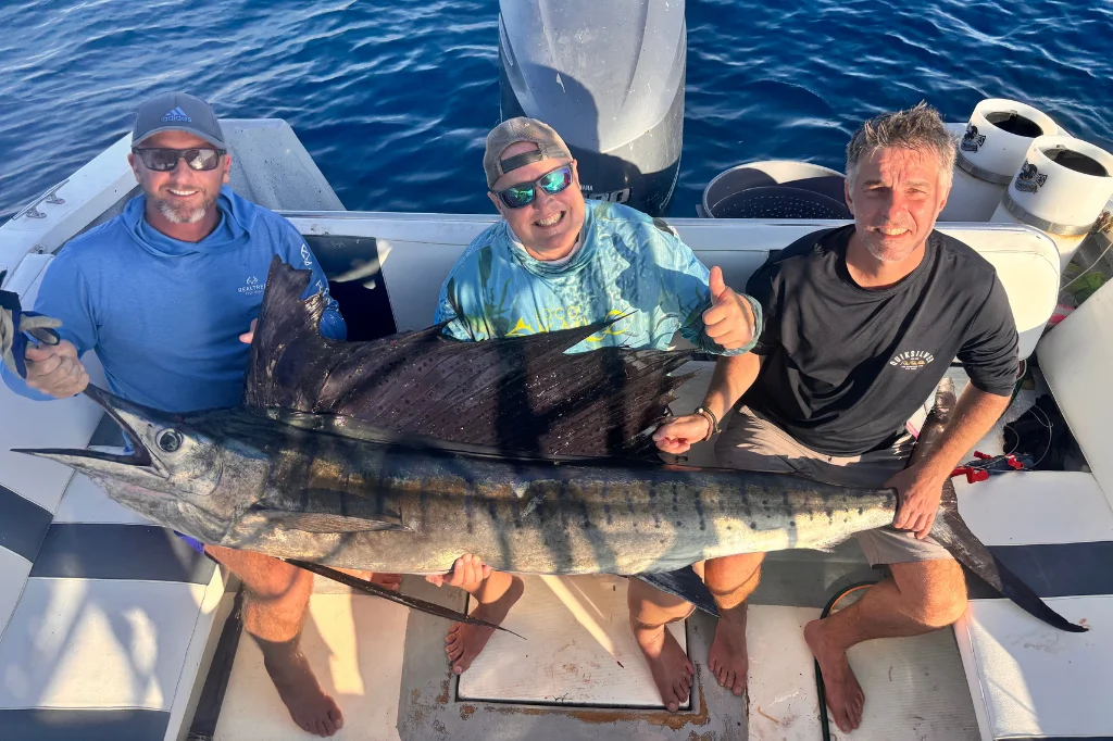 artemizia foundation